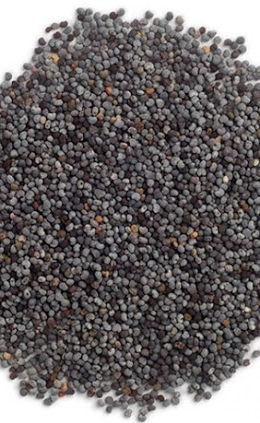 Dried Poppy Seeds - Image 2
