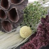 Dried Poppy Flowers